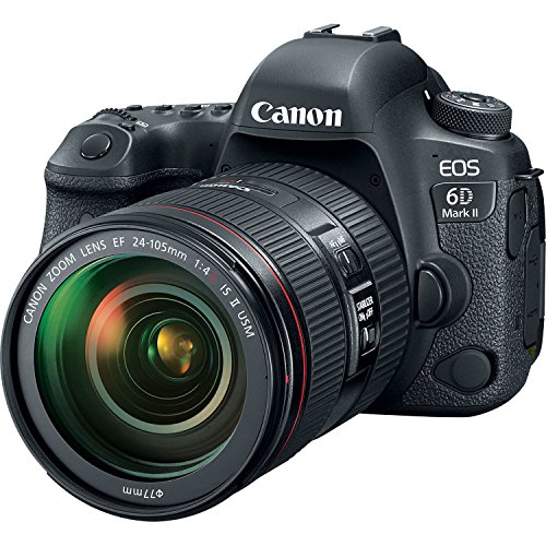 Canon-EOS-6D-Mark-II-Wi-Fi-Digital-SLR-Camera-EF-24-105mm-f4L-IS-II-USM-Lens-64GB-Card-Case-Flash-Battery-Charger-Tripod-Filters-Kit