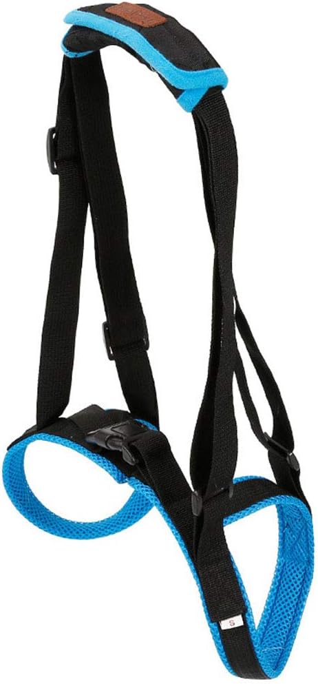 RIRUI Dog Hind Leg Auxiliary Belt, Old Dog Leg Walking Support Belt, Hind Leg Disability Injury, High Age, Dog Stair Auxiliary Belt,Blue,M [Energy Class A]