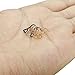 FIBO STEEL 5 Pcs Stainless Steel Heart Nose Rings set Screw Nose Piercing Jewelry,20G X5