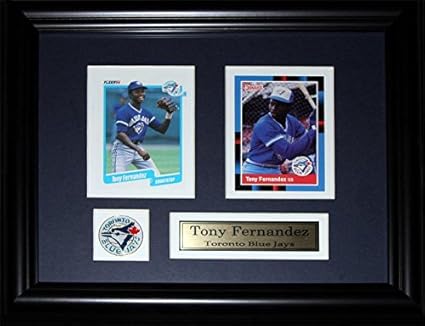 minor league baseball memorabilia