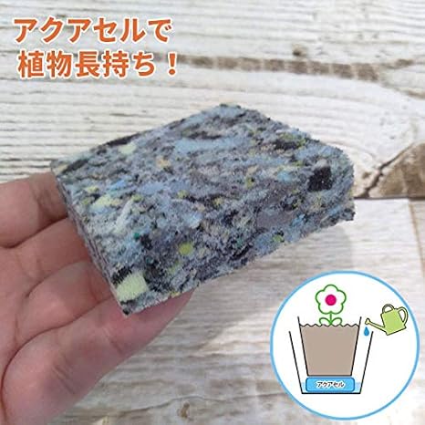 Amazon Co Jp 水やりサポート資材 アクアセルｂ 5 5 5 5 ｈ1 5cm 10個セット 水管理ラクラク 植物の水枯れや水の多すぎを防ぐ吸水 保水スポンジ ホーム キッチン