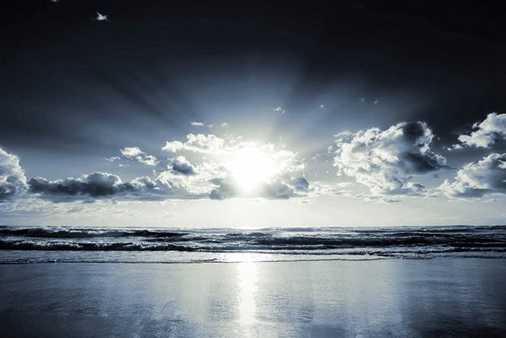 Amazon Co Jp 特大 ポスター 海岸ビーチ太陽雲梁砂白黒 壁紙ウォールステッカーポスター 594x4mm Generic