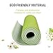 Non-slip Yoga Mat by Farland,Eco Friendly Workout Exercise Mat,Anti-tear Hot Pilates Pad Mats