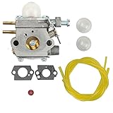 Hilom TB22EC Carburetor for WT-973 MTD 753-06190 Troy-bilt TB21EC TB32EC TB42BC TB80EC Trimmers Murray M2500 M2510 Remington RM2510 Brushcutter