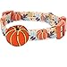 Blueberry Pet Fall Dog Collar, Small Dog Collar for Female & Male Dogs, Extra Small Dog Collar with Pumpkin Décor, Adjustable for Neck 12