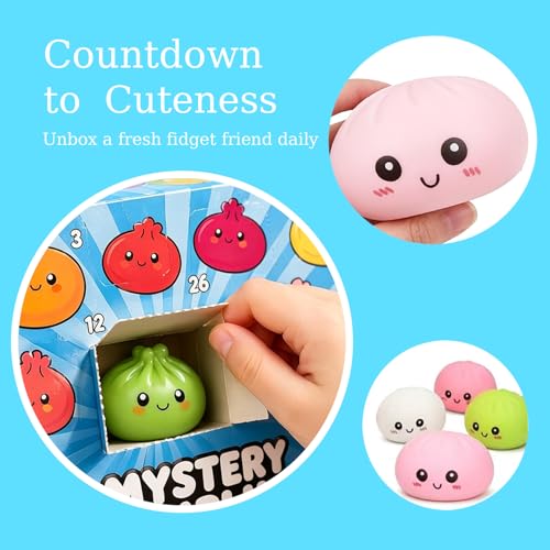 2026 Squishies Dumpling Mystery Advent Countdown Calendar, Dumpling Squishies, 24 PCS Surprise Squishies Toys, Stress Relief Sensory Fidget Toy for Anxiety Relief Hand Relax, Birthday(Random)