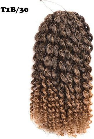 2 Pack 8 inch 90gram Afro Kinky Curly Mali Bob Crochet Braids Twist Braiding Marley Braid Synthetic Hair Extensions (8"(2pack), t1b/30)