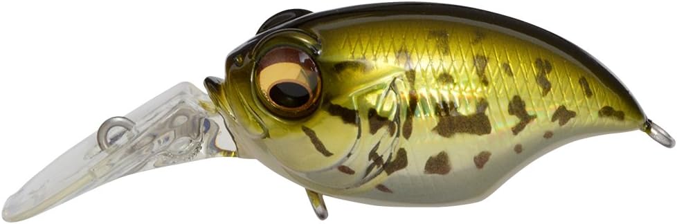 Megabass 2016 New MR-X Griffon [Japan Import]
