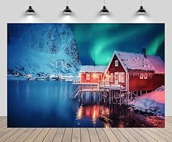 CHNYWORK 12ftx8ft Winter Night Landscape Backdrop