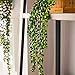 Supla 2 pcs Artificial Hanging Long Succulents Faux Burro's Tail Picks Trailing String of Pearls Succulent Vines Greenery 28.7