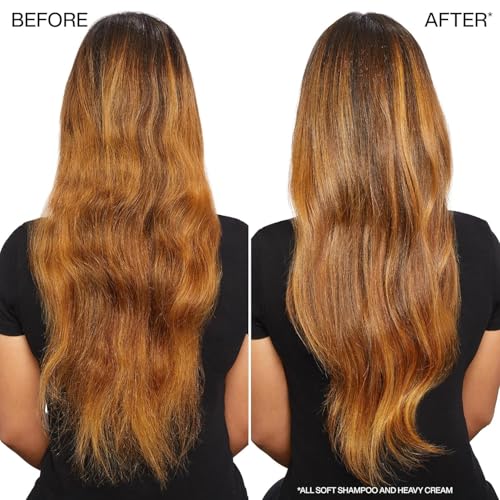 REDKEN ALL SOFT SHAMPOO – MOISTURIZES & HYDRATES DRY, BRITTLE HAIR, GENTLY CLEANSES AND SOFTENS, WITH ARGAN OIL, SAFE FOR COLOR-TREATED HAIR, 10.1 FL OZ