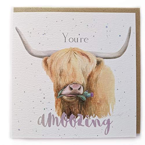 Highland Cow You’re Amoozing Birthday Valentine pun card