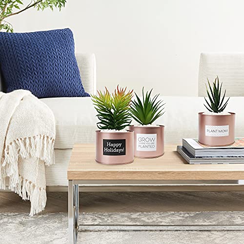 LotFancy Faux Succulents Plants for Desk Decor, Office Artificial Potted Fake Plants for Bedroom Kitchen, 3 Pcs Plastic Artificial Succulents with Metallic Rose Gold Jars & Decoration Accessories