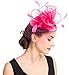SAFERIN Fascinator for Women Hair Clip Hat Bowler Feather Flower Veil Wedding Party Hat Tea Hat（TA2-Fuchsia）