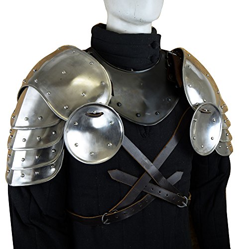 Stainless Steel Pauldrons - 16 Gauge