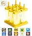 Popsicle Molds Set - BPA Free - 6 Ice Pop Makers + 1 Extra Mold + Silicone Funnel + Cleaning Brush + Recipes E-book - by Lebice
