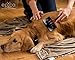 Epica Self-Cleaning Slicker Brush with Pivoting Head for Dogs