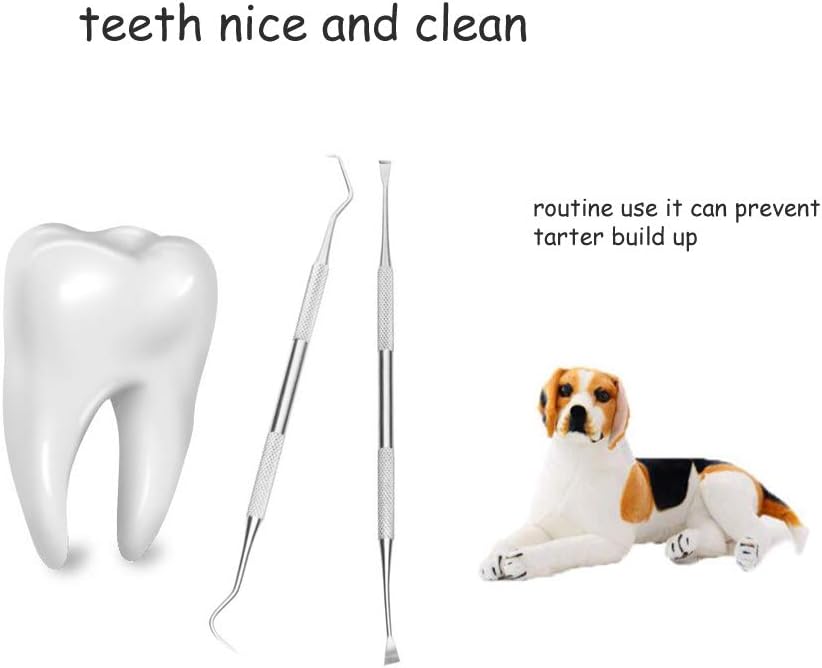 dog teeth cleaning kit amazon