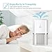 AwesomeWare Air Purifier True, Purple