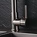 Rozin Single Hole Spring Kitchen Sink Faucet LED Light Sprayer Mixer Tap Brushed Nickel