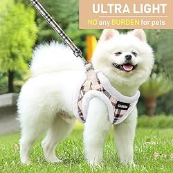 GAMUDA Small Pet Harness Collar and Leash Set, Step