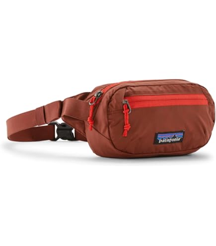 Mini Hip Pack 1L by Patagonia : Sports & Outdoors