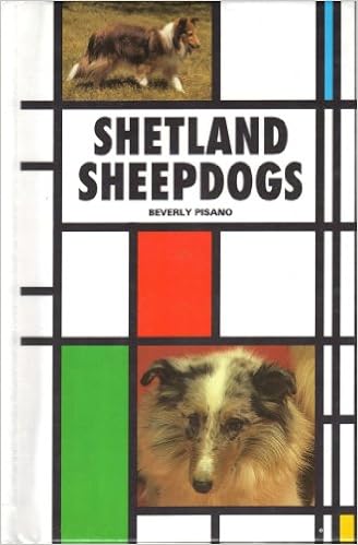 Shetland Sheepdogs (Kw Dog Breed Series Kw-079) �n�[�h�J�o�[ - 1990/2/1