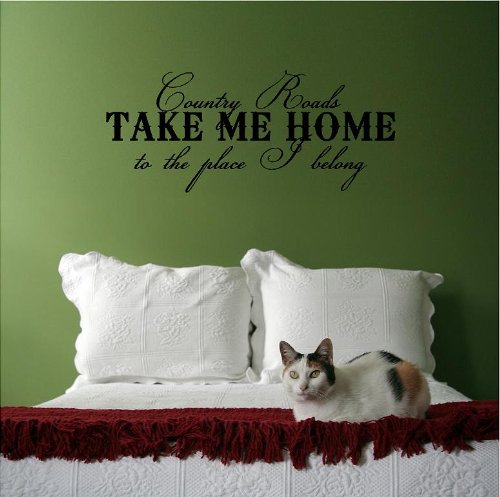 Country Roads Take Me Home To The Place I Belong M Wall Saying