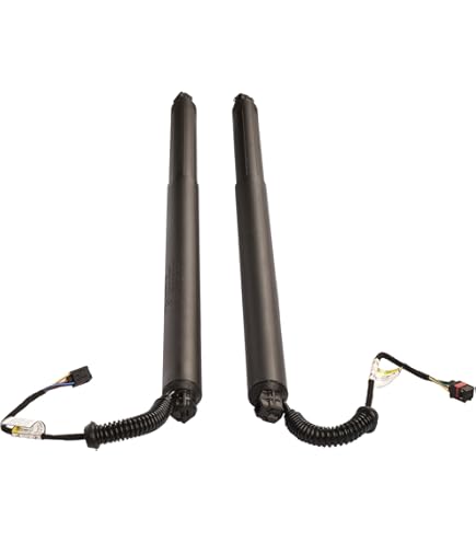 Amazon.com: Pair Left and Right Liftgate Power Lift Cylinder