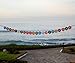 Sterling James Co. Funny Happy Birthday Funny Birthday Banner - 21st Birthday Banner - 30th Birthday