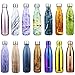 DJSBZ 17oz Cola-Shape Water Bottle, Double Walled Vacuum 18/8 Stainless Steel, Leak-Proof Keep Hot & Cold, Personalized Texture,Gift Box Packaging (500 ml)
