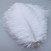Sowder 50pcs Natural 8-10inch(20-25cm) Ostrich Feathers Home Wedding Decoration(White)