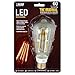 Feit BPST19/LED The Original Vintage Style Bulb 60W Edison Equivalent Medium Base Clear Dimmable LED Light, 4 Pack