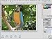 Adobe Photoshop CS5 Training DVD