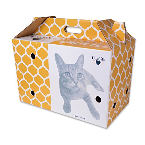 Cosmic Pet Shuttle Cardboard Carrier