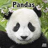 Panda Calendar - Cute Animal Calendar - Calendars 2019 - 2020 Wall Calendars - Animal Calendar - Pan by