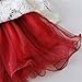 2 - Piece Baby Girls Long Sleeve Princess Flower Dress, Red, 6M