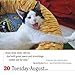 365 Cats Page-A-Day Calendar 2019