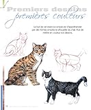 Image de Les chats aux crayons de couleur