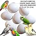 DummyEggs Fake Bird Eggs Stop Laying! Set of 10: Cockatiel, Quaker Parrot, Green Cheek, Lorikeet, Ringneck Dove. White Solid Plastic Realistic 1