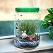 PREMIUM LARGE TERRARIUM KIT For Kids | -NEW-Remote Control MULTICOLOR LED Light-Up Lid | EXTRA Large Jar to Grow Customized Mini Garden | Excellent Science Gift For Children | Best Toys Present Age 6+