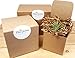Bliss Gardens Air Plant Terrarium Kit with Amethyst / 6