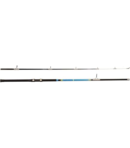Amazon.com : SOUTH BEND Black Beauty Bream Poles : Fishing Equipment :  Sports & Outdoors
