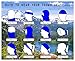Cool 6pc Seamless Style Camo Bandanna Headwear Scarf Wrap Neck Gaiters - Pack of 6