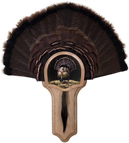 Walnut Hollow Country Deluxe Turkey Mounting & Display Kit, Oak with Full Fan Image