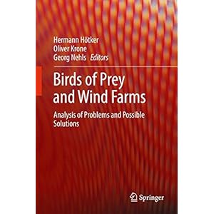 Birds of Prey and Wind Farms: Analysis of Problems and Possible Solutions