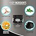 Nuva Dent: Activated Charcoal Teeth Whitening Powder - Organic Coconut Charcoal - Removes Bad Breath and Tooth Stains for a Natural Healthier Whiter Smile - No Need for Strips, Kit or Gel