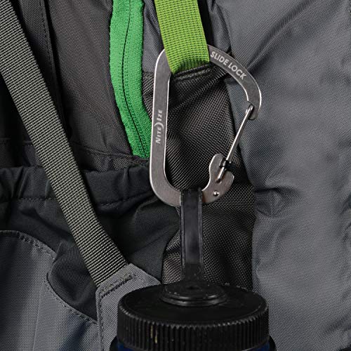 2 Nite+Ize+CSL2+11+R6+Carabiner+Stainless
