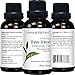 Natural Riches Aromatherapy Essential Oil Kit - Therapeutic Grade - Peppermint Essential Oil, Lavender Essential Oil & Tea Tree Essential Oil - Pack of 3-1 fl oz Each