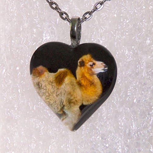 Bactrian Camel Heart Pendant with Necklace